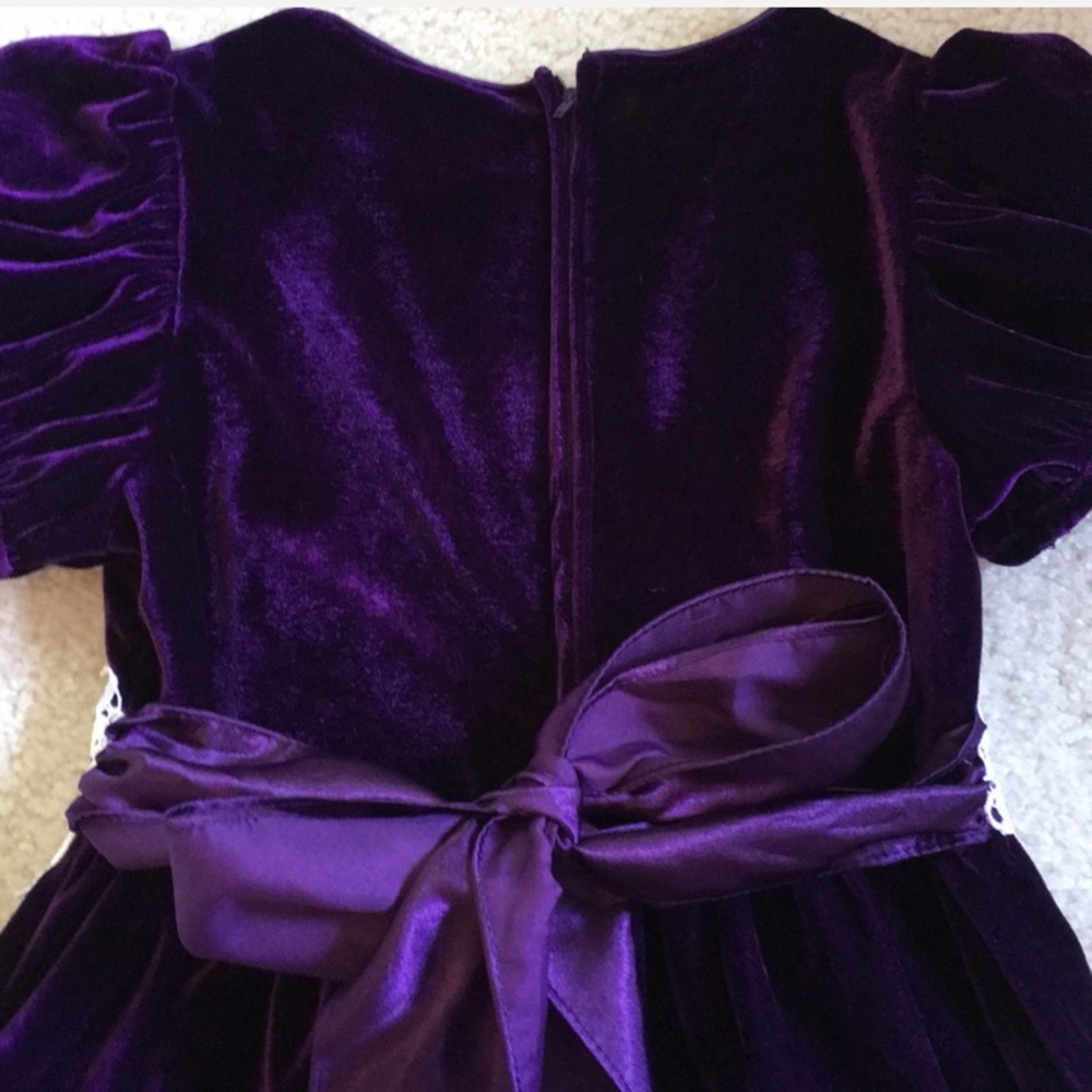 ✨HP✨ EUC gorgeous Rare Editions velvet dress - Picture 8 of 8